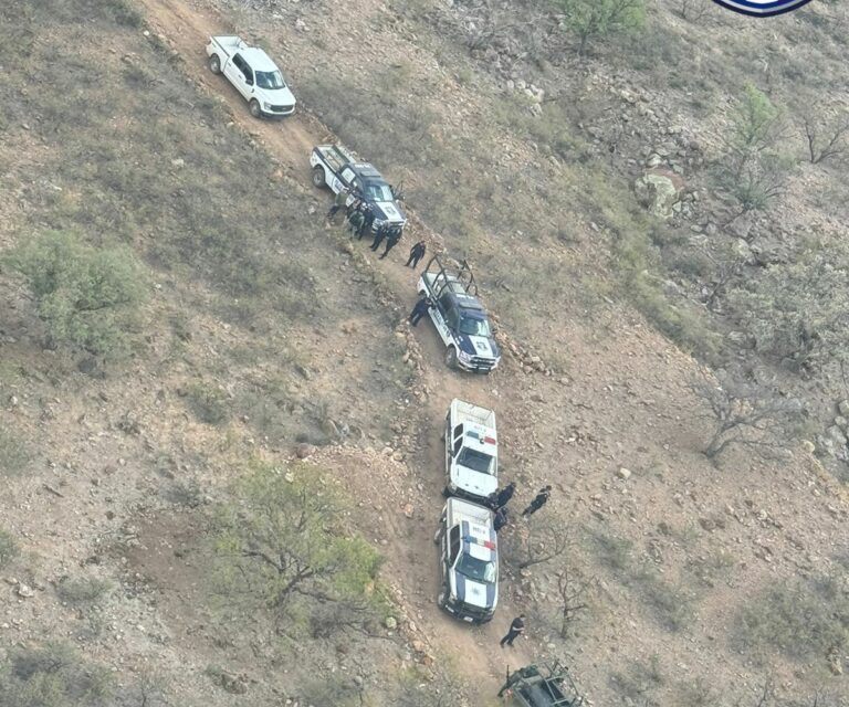 Localiza operativo conjunto dos fosas clandestinas en cerro de El Sauz