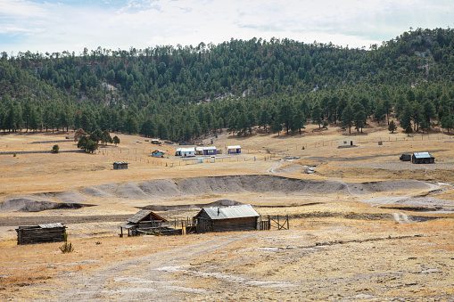 “Familias indígenas las más afectadas por sequía”: PRI