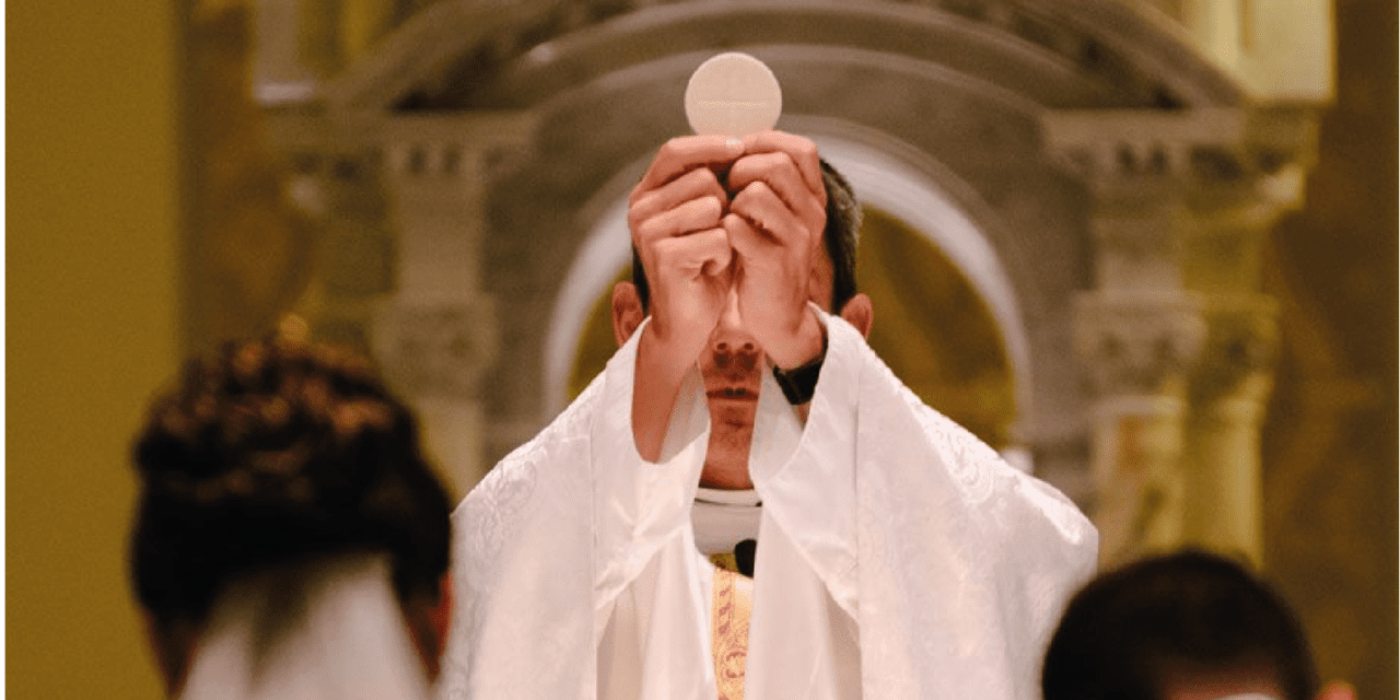 Disminuye cantidad de sacerdotes a nivel mundial