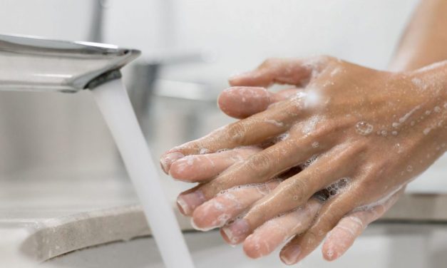 Higiene de manos y alimentos, claves para prevenir infecciones por E. Coli