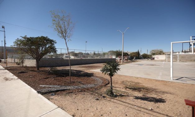 Rehabilita Obras Públicas parque de colonia El Mezquital