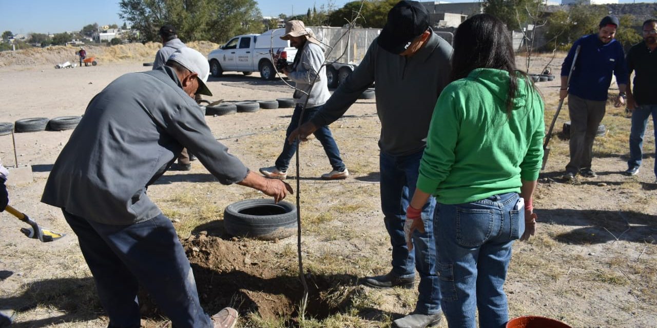 Forestó Parques y Jardines 30 árboles en la primaria Valentín Gómez Farías