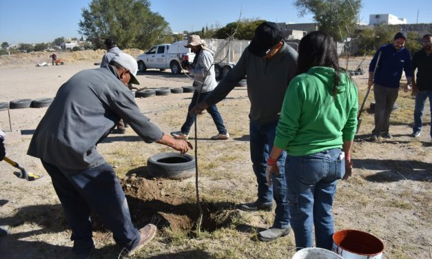 Forestó Parques y Jardines 30 árboles en la primaria Valentín Gómez Farías