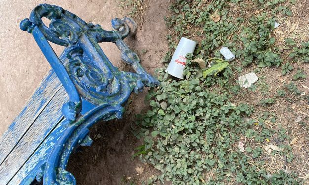 Denuncian presencia de basura en la deportiva