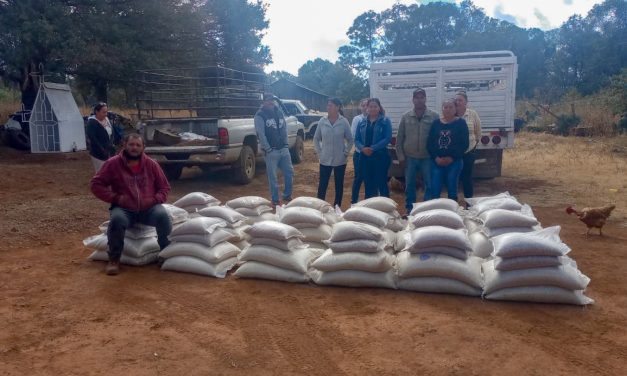 Fortalecen seguridad alimentaria de 40 familias de comunidades indígenas en Madera