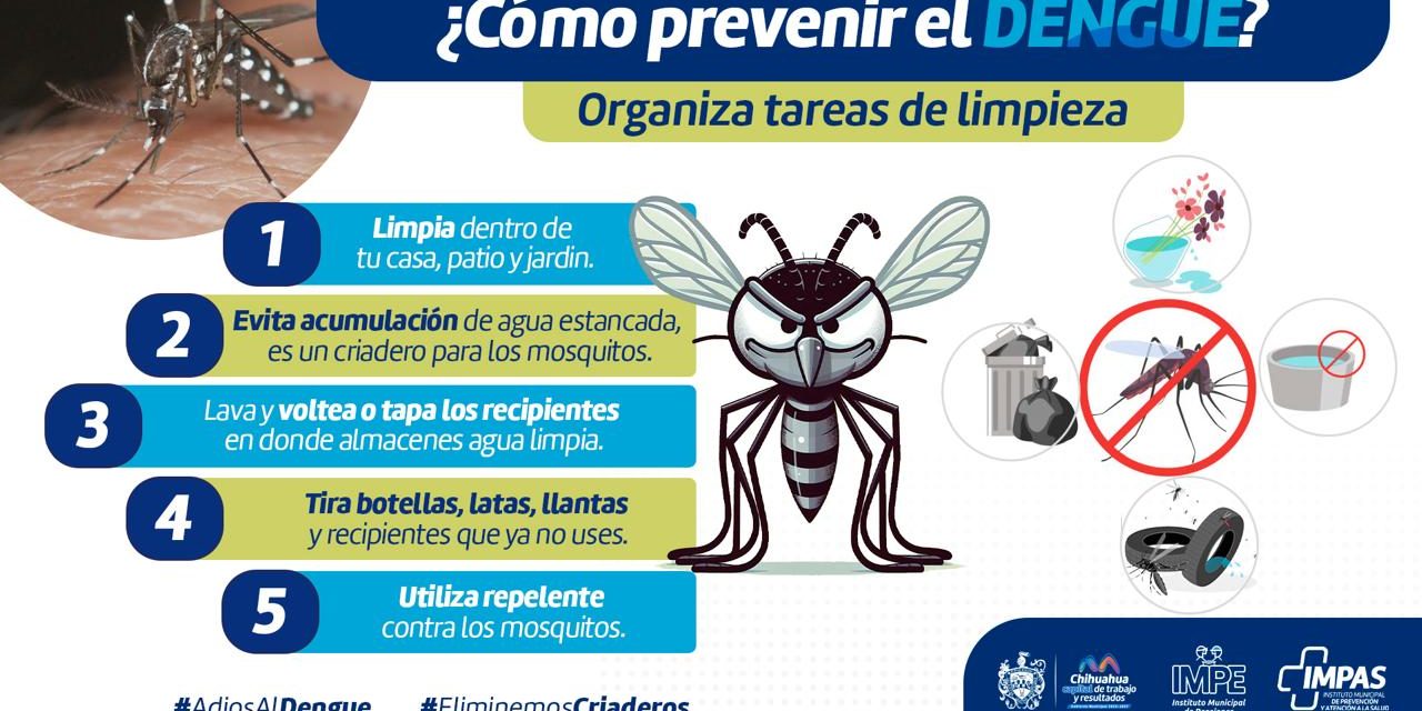 Piden tomar medidas preventivas contra el dengue