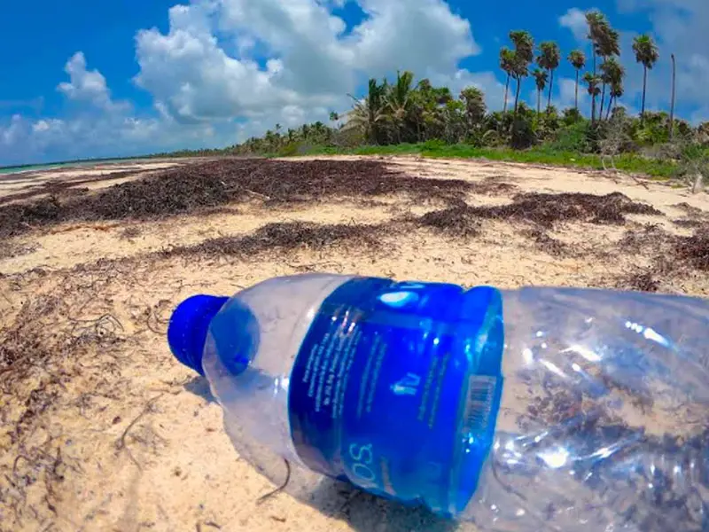 Alertan sobre generación de basura, principalmente plásticos, en fiestas de fin de año