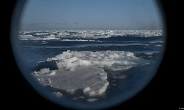 Según la ONU, 2024 fue el año más caluroso jamás registrado