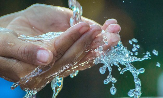 Deberá Gobierno del Estado promover y difundir la cultura del agua en la totalidad de la población: Congreso