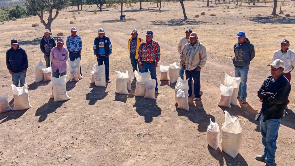Benefician a 120 familias indígenas de Carichí con diversos apoyos