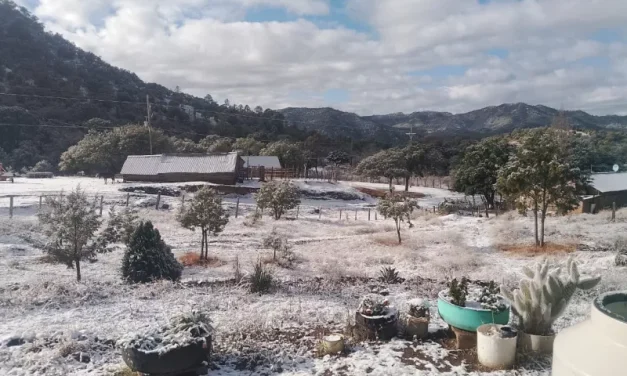 Prevé CEPC temperaturas frías para Chihuahua