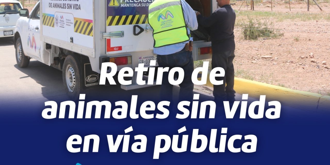 Ofrecen servicio de retiro de animales sin vida en la vía pública