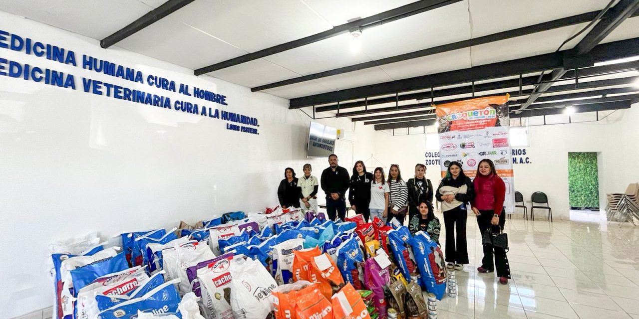 Croquetón 2024 juntó más de 2 toneladas de alimento para mascotas rescatadas