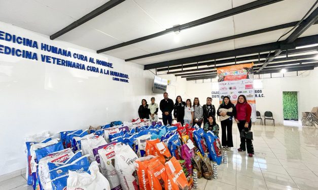 Croquetón 2024 juntó más de 2 toneladas de alimento para mascotas rescatadas