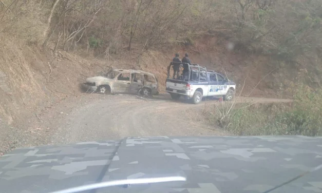 Buscan tipificar narcoterrorismo como delito