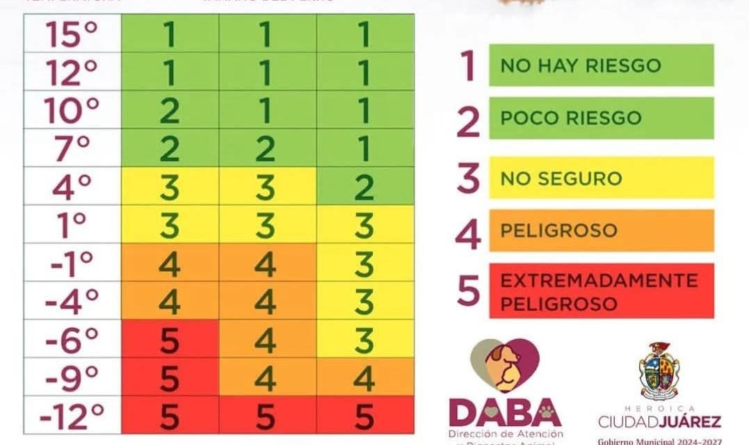 Emite DABA recomendaciones para proteger a mascotas