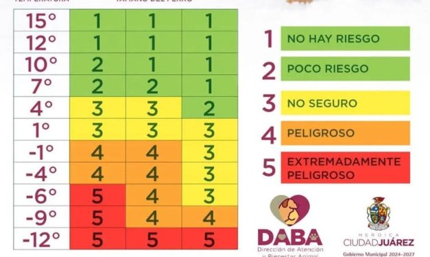 Emite DABA recomendaciones para proteger a mascotas