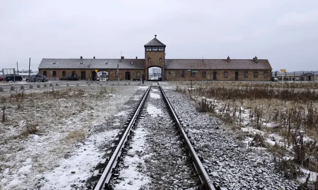 Se cumplen 80 años de la liberación de Auschwitz: el infierno que se vivió en el campo, a través de la cultura