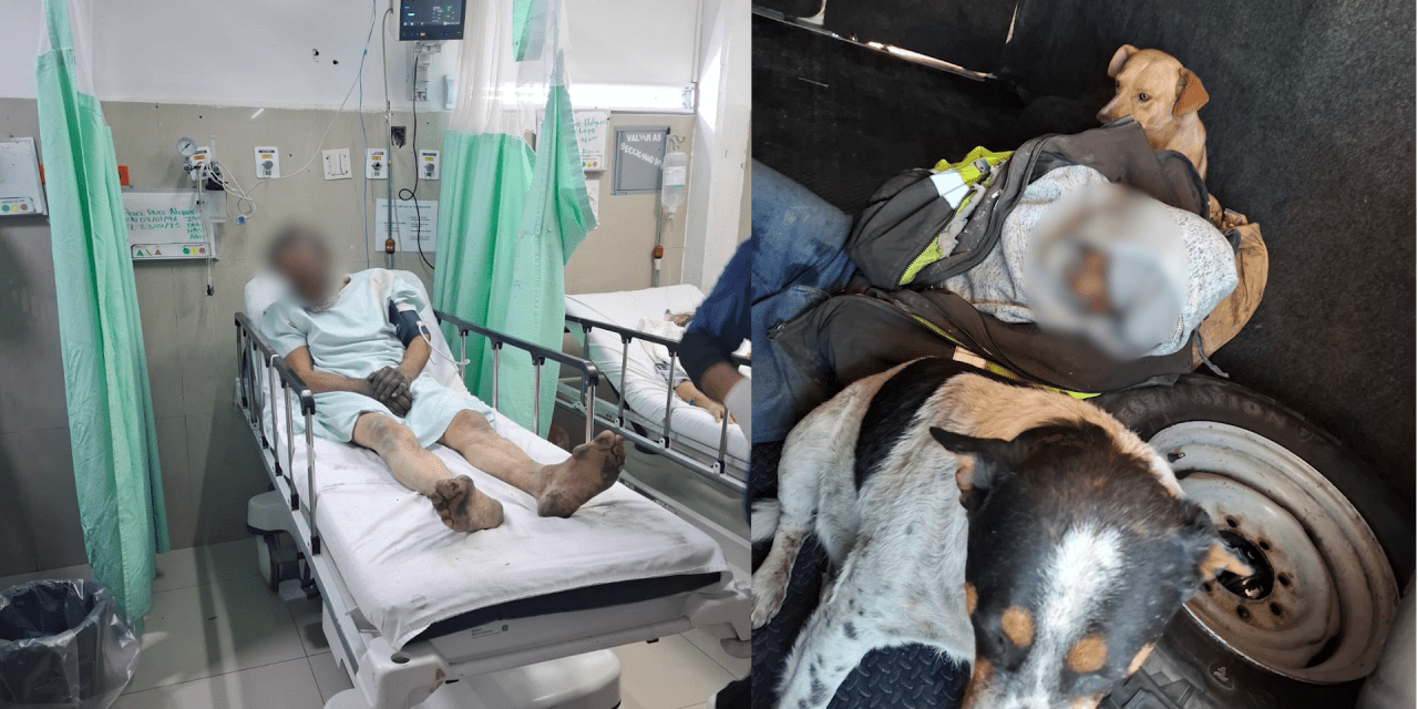 Román, el hombre que no quiere ayuda para no abandonar a sus perritos