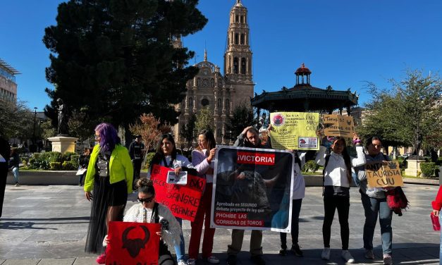 Apoyan rescatistas reformas al Código Penal para castigar a dueños de perros peligrosos