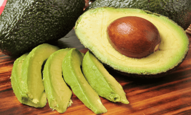 Lanzan para aguacate ‘certificación’ nacional