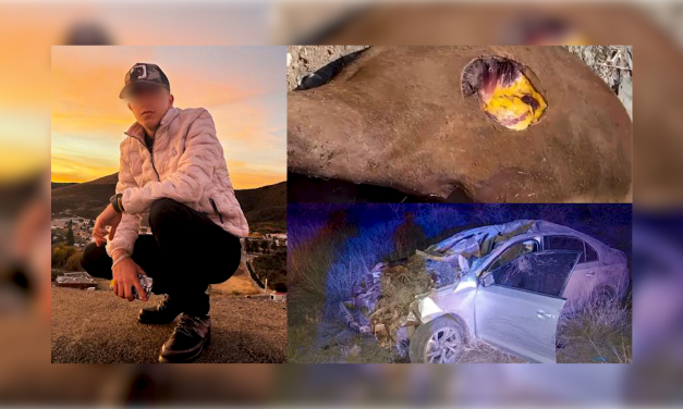 Se refuerzan acciones de la Ley David: Justicia y prevención en las carreteras de Chihuahua