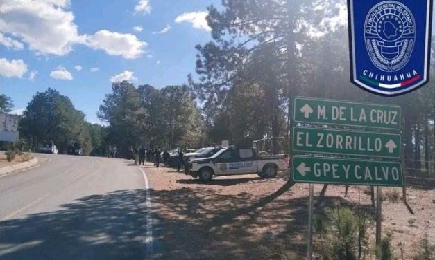 Pide Congreso declaratoria de emergencia en Guadalupe y Calvo ante violencia e inseguridad