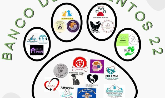 Invita DABA a donar para el Banco de Alimentos 22