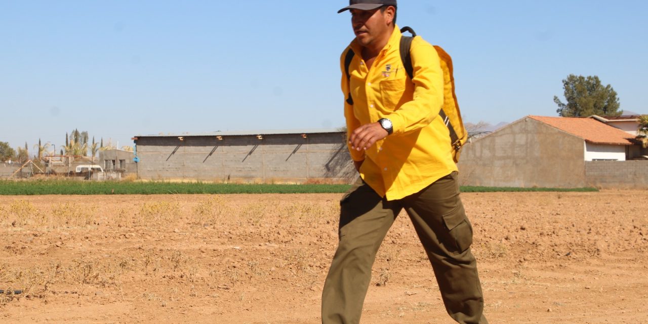 Capacitan a 280 voluntarios para hacer frente a incendios forestales en el estado