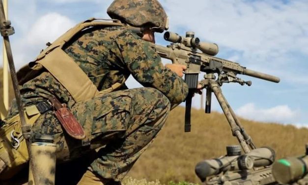 Entrenan marines al Ejército