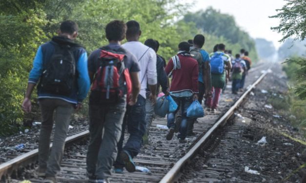 Desmantelan red de tráfico de inmigrantes