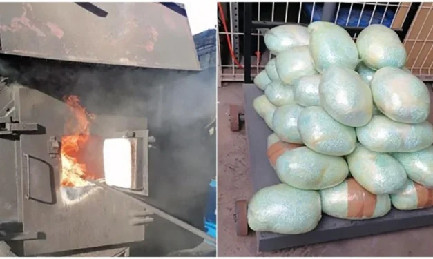 Incineran más de 2 millones de pastillas de fentanilo aseguradas en Baja California y Sonora