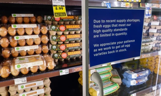 Los altos precios de los huevos no fueron culpa de Biden