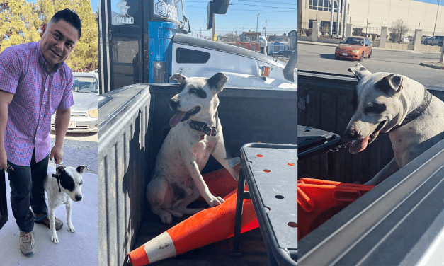 Agente de Seguridad Vial evita accidente, rescata a perrito y lo reúne con su familia