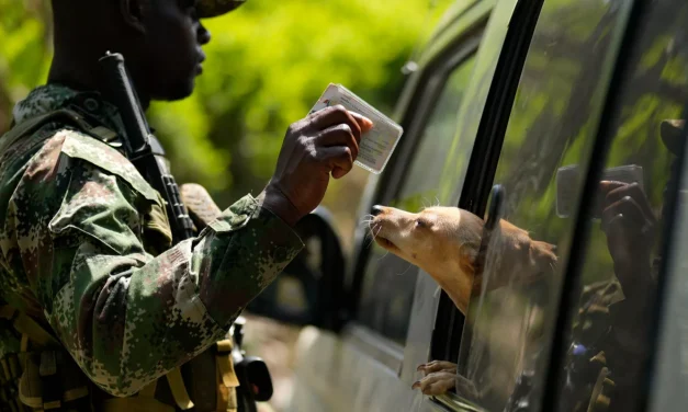Presidente de Colombia quiere sustituir la coca por otros cultivos mediante compensaciones