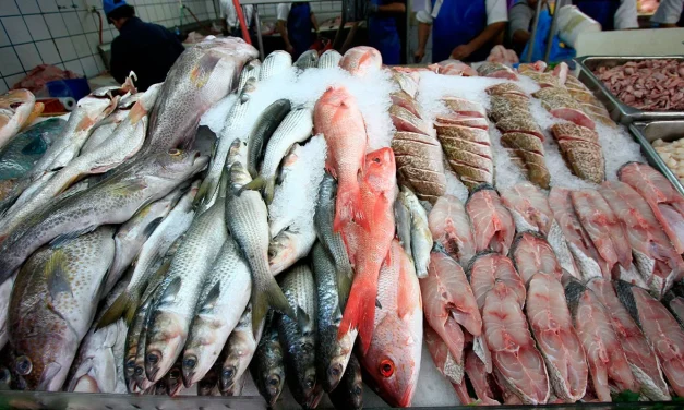 Registra ANPEC incremento del 18% en comida de cuaresma