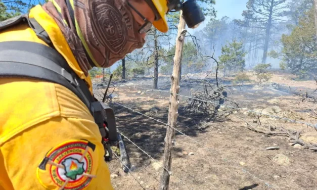 Combaten 164 brigadistas 11 incendios forestales activos en la entidad