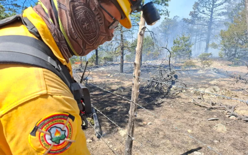 Combaten 164 brigadistas 11 incendios forestales activos en la entidad