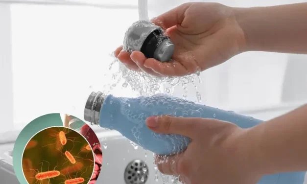 ¿Por qué debes lavar tu termo de agua diario?