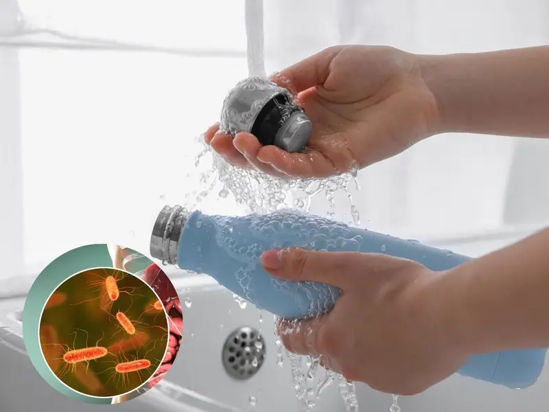 ¿Por qué debes lavar tu termo de agua diario?