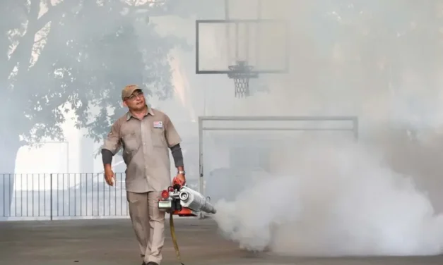 Dengue en México: suman 2 mil 295 casos en lo que va del año