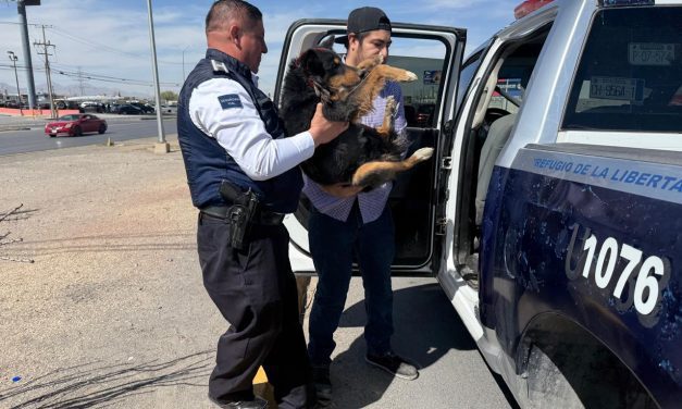 Rescatan policías viales a perrito lesionado y en peligro