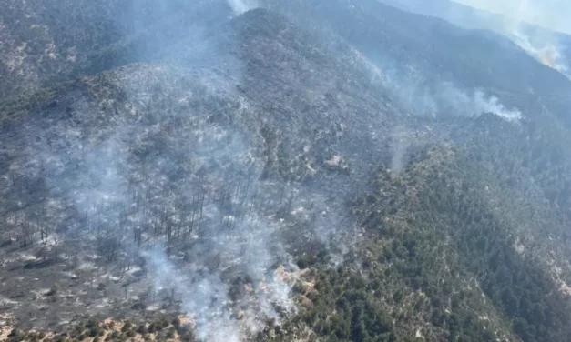 Urgen recursos para enfrentar incendios en el Estado: Congreso