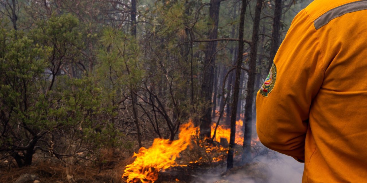 Exhorta Gobierno del Estado a la población a evitar incendios forestales