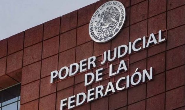 Denuncian que siete candidatos al PJF están vinculados con el crimen organizado o violencia de género