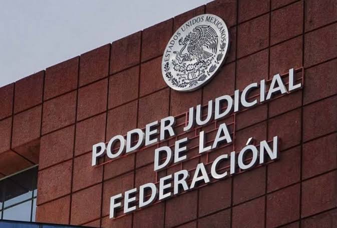 Denuncian que siete candidatos al PJF están vinculados con el crimen organizado o violencia de género