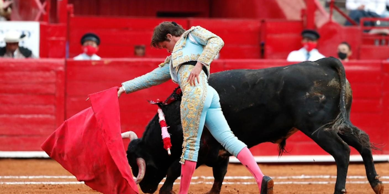 Corridas de toros sin sangre son un avance