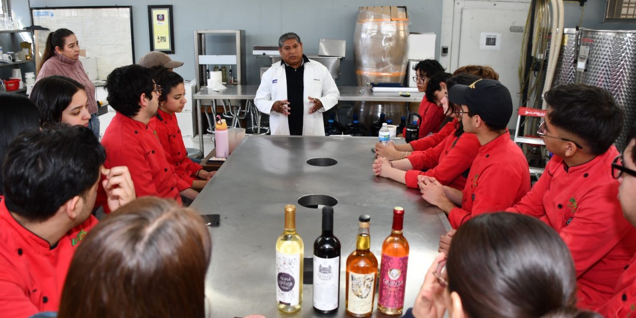 Buscan impulsar vitivinicultura en el estado a través de las Universidades Tecnológicas