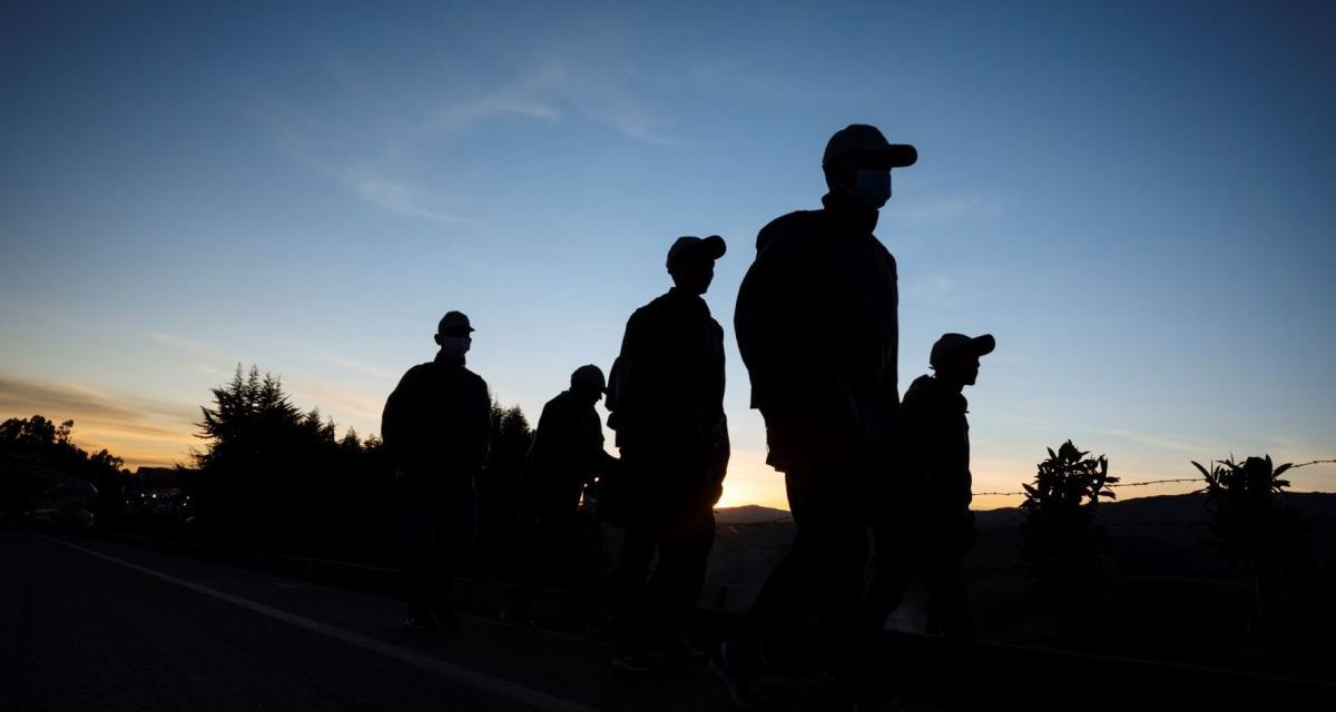 Generó 416 mmd por tráfico de personas
