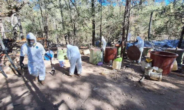 Aseguran narcolaboratorio gigante en Zacatecas